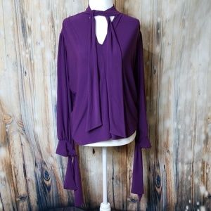 FINAL sale Zara royal purple blouse